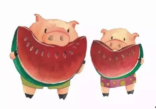 猪猪吃瓜,欢乐无限