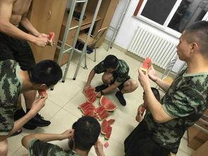 集体吃瓜模式,揭秘娱乐圈背后的秘密风云