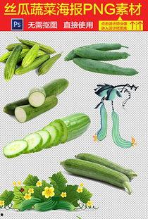 田瓜园吃瓜视频大全下载,趣味横生的夏日消暑必备