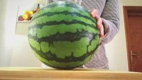 瓜不喜欢吃,揭秘瓜类食物的独特魅力