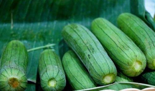 瓜不喜欢吃,揭秘瓜类食物的独特魅力