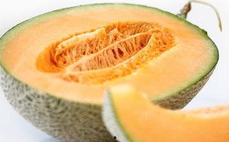 吃蜜瓜舌头麻麻的,舌尖上的麻麻体验揭秘