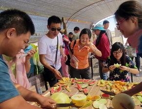集体吃瓜拍照照片,共享夏日时光瞬间