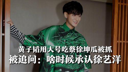 吃瓜爆料黄子韬,娱乐圈的瓜田，他的故事与争议