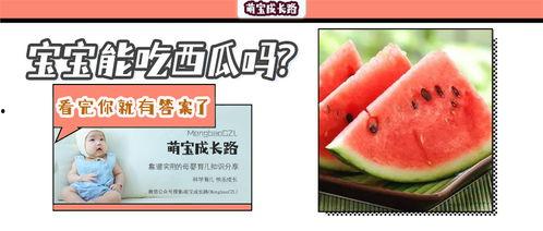 宝宝吃瓜模板,快乐成长，营养健康两不误
