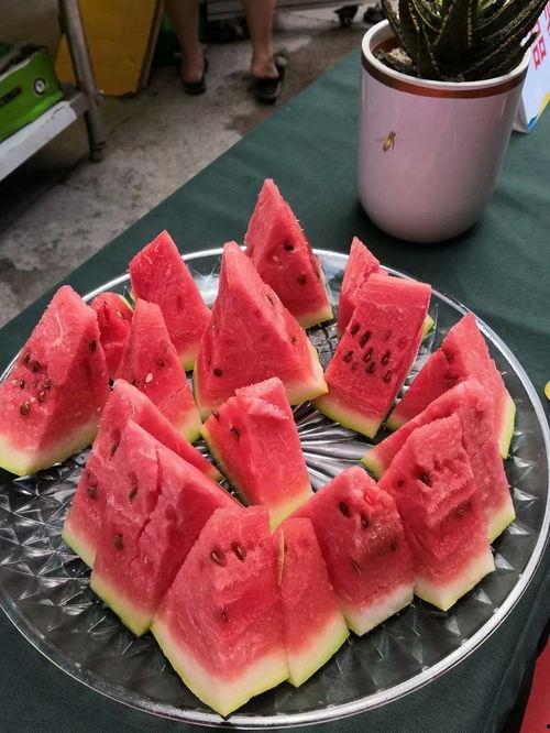 中卫吃瓜视频全集,揭秘全网热议事件背后的真相